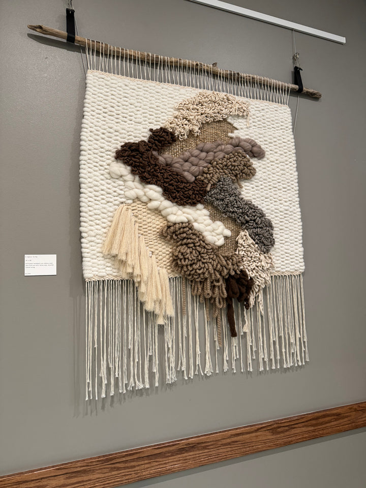 Earth Tone Woven Wall Hanging